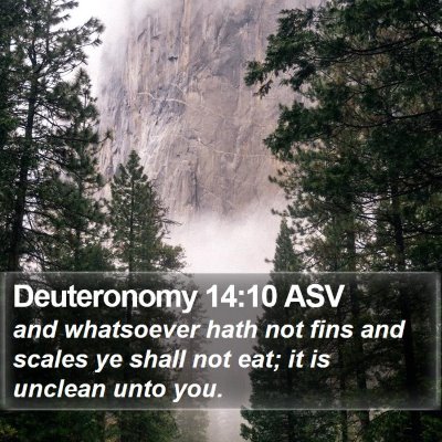 Deuteronomy 14:10 ASV Bible Verse Image