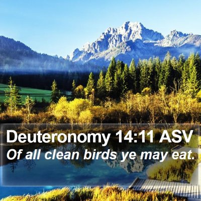 Deuteronomy 14:11 ASV Bible Verse Image