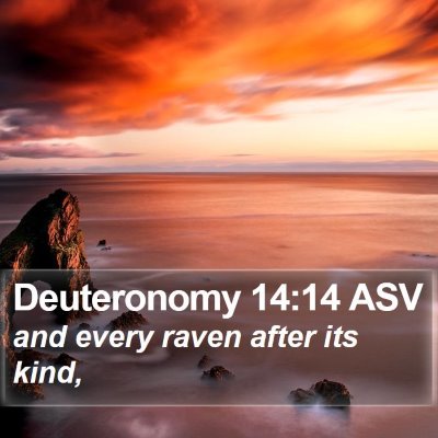 Deuteronomy 14:14 ASV Bible Verse Image
