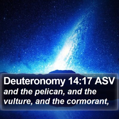 Deuteronomy 14:17 ASV Bible Verse Image
