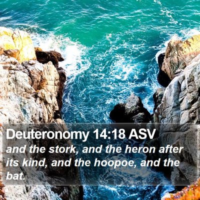 Deuteronomy 14:18 ASV Bible Verse Image
