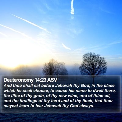 Deuteronomy 14:23 ASV Bible Verse Image