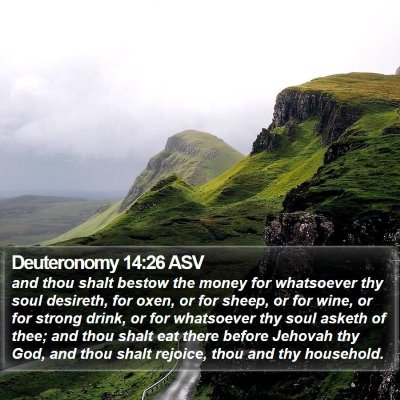 Deuteronomy 14:26 ASV Bible Verse Image