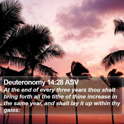 Deuteronomy 14:28 ASV Bible Verse Image