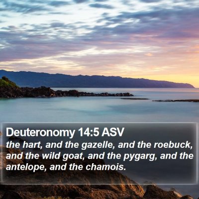 Deuteronomy 14:5 ASV Bible Verse Image