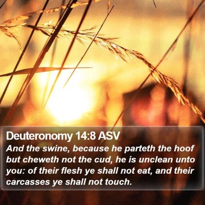 Deuteronomy 14:8 ASV Bible Verse Image