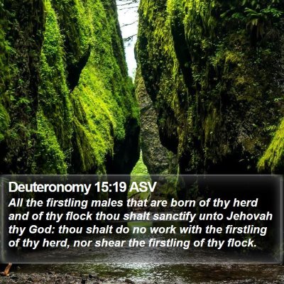 Deuteronomy 15:19 ASV Bible Verse Image