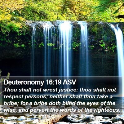 Deuteronomy 16:19 ASV Bible Verse Image