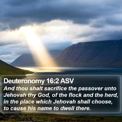 Deuteronomy 16:2 ASV Bible Verse Image