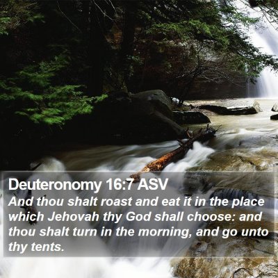 Deuteronomy 16:7 ASV Bible Verse Image