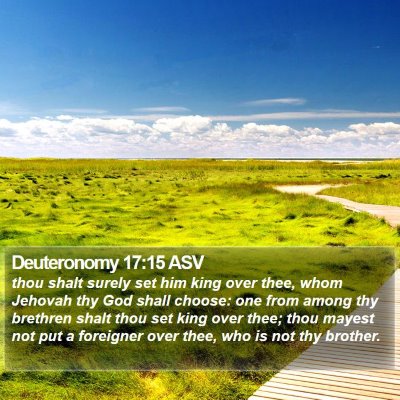 Deuteronomy 17:15 ASV Bible Verse Image