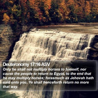 Deuteronomy 17:16 ASV Bible Verse Image
