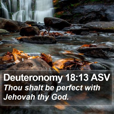 Deuteronomy 18:13 ASV Bible Verse Image