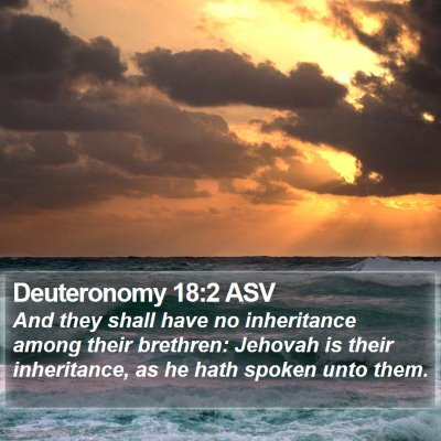 Deuteronomy 18:2 ASV Bible Verse Image