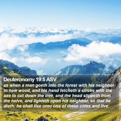 Deuteronomy 19:5 ASV Bible Verse Image