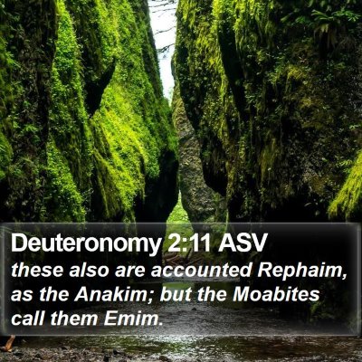 Deuteronomy 2:11 ASV Bible Verse Image