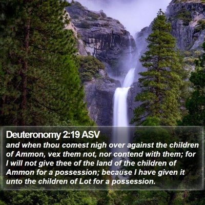 Deuteronomy 2:19 ASV Bible Verse Image