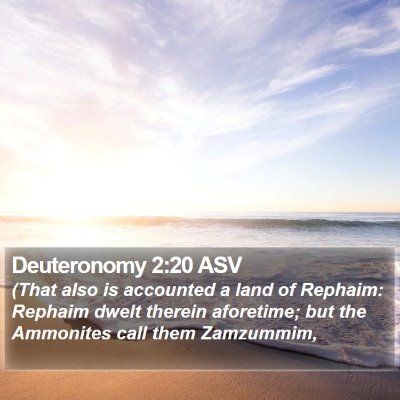 Deuteronomy 2:20 ASV Bible Verse Image