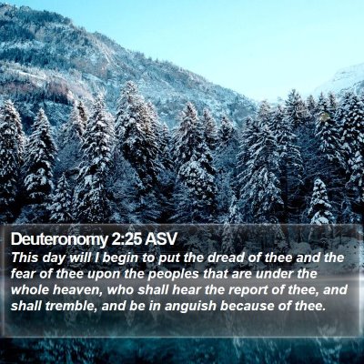 Deuteronomy 2:25 ASV Bible Verse Image