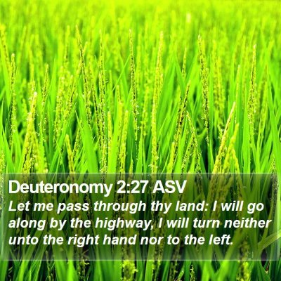 Deuteronomy 2:27 ASV Bible Verse Image