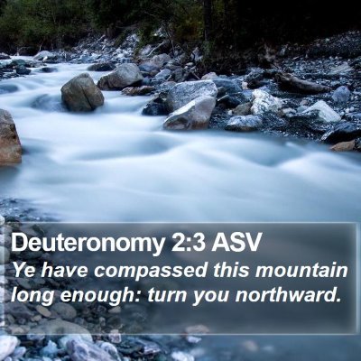 Deuteronomy 2:3 ASV Bible Verse Image