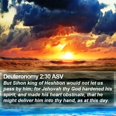 Deuteronomy 2:30 ASV Bible Verse Image