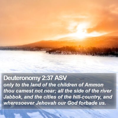 Deuteronomy 2:37 ASV Bible Verse Image