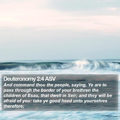 Deuteronomy 2:4 ASV Bible Verse Image