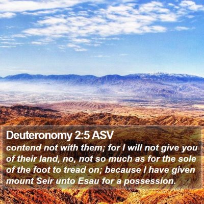 Deuteronomy 2:5 ASV Bible Verse Image