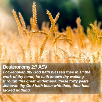 Deuteronomy 2:7 ASV Bible Verse Image