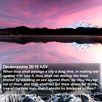Deuteronomy 20:19 ASV Bible Verse Image