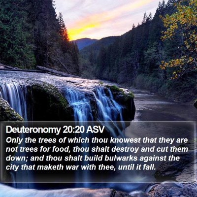 Deuteronomy 20:20 ASV Bible Verse Image