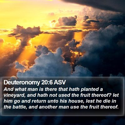 Deuteronomy 20:6 ASV Bible Verse Image