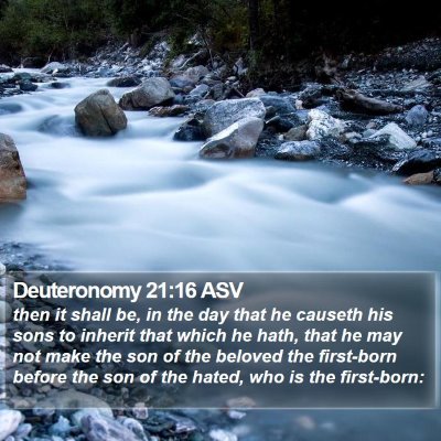 Deuteronomy 21:16 ASV Bible Verse Image