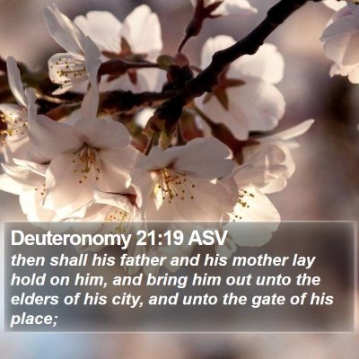 Deuteronomy 21:19 ASV Bible Verse Image