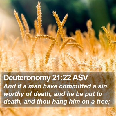 Deuteronomy 21:22 ASV Bible Verse Image