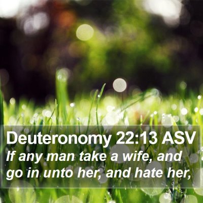 Deuteronomy 22:13 ASV Bible Verse Image