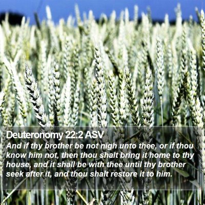 Deuteronomy 22:2 ASV Bible Verse Image