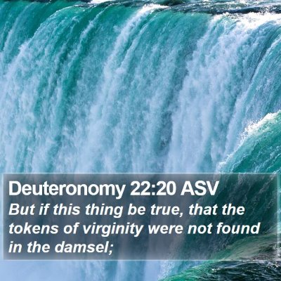 Deuteronomy 22:20 ASV Bible Verse Image