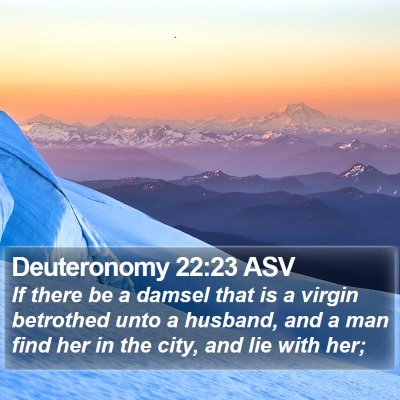 Deuteronomy 22:23 ASV Bible Verse Image