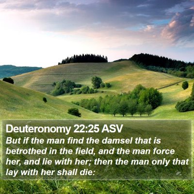 Deuteronomy 22:25 ASV Bible Verse Image