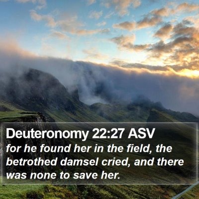 Deuteronomy 22:27 ASV Bible Verse Image