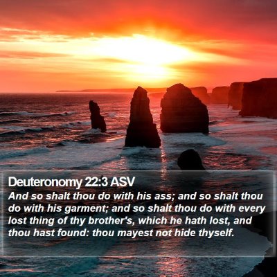 Deuteronomy 22:3 ASV Bible Verse Image