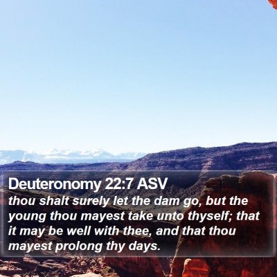Deuteronomy 22:7 ASV Bible Verse Image