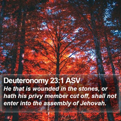 Deuteronomy 23:1 ASV Bible Verse Image