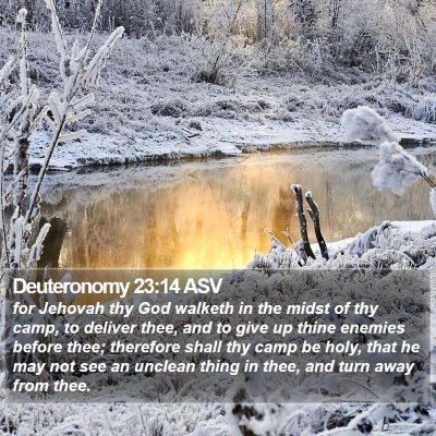 Deuteronomy 23:14 ASV Bible Verse Image
