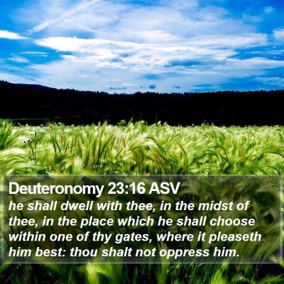Deuteronomy 23:16 ASV Bible Verse Image