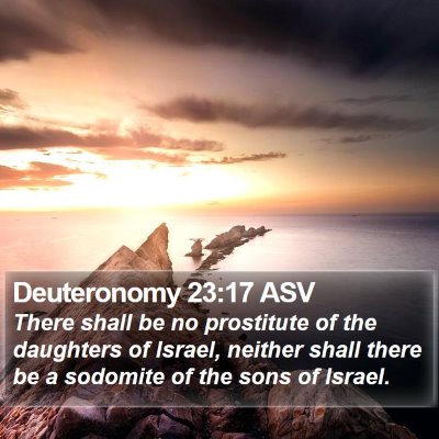 Deuteronomy 23:17 ASV Bible Verse Image