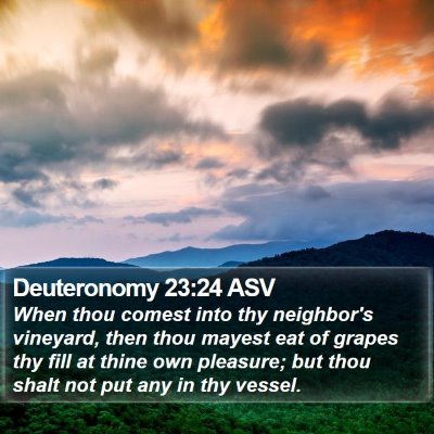 Deuteronomy 23:24 ASV Bible Verse Image