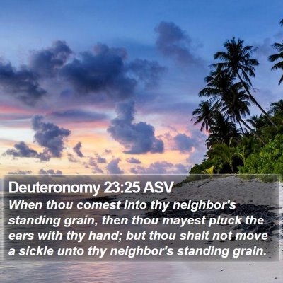Deuteronomy 23:25 ASV Bible Verse Image
